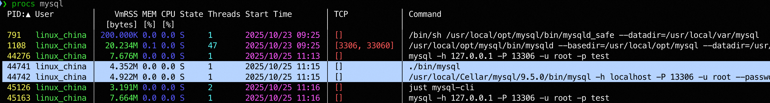 Dotenvx Link MySQL